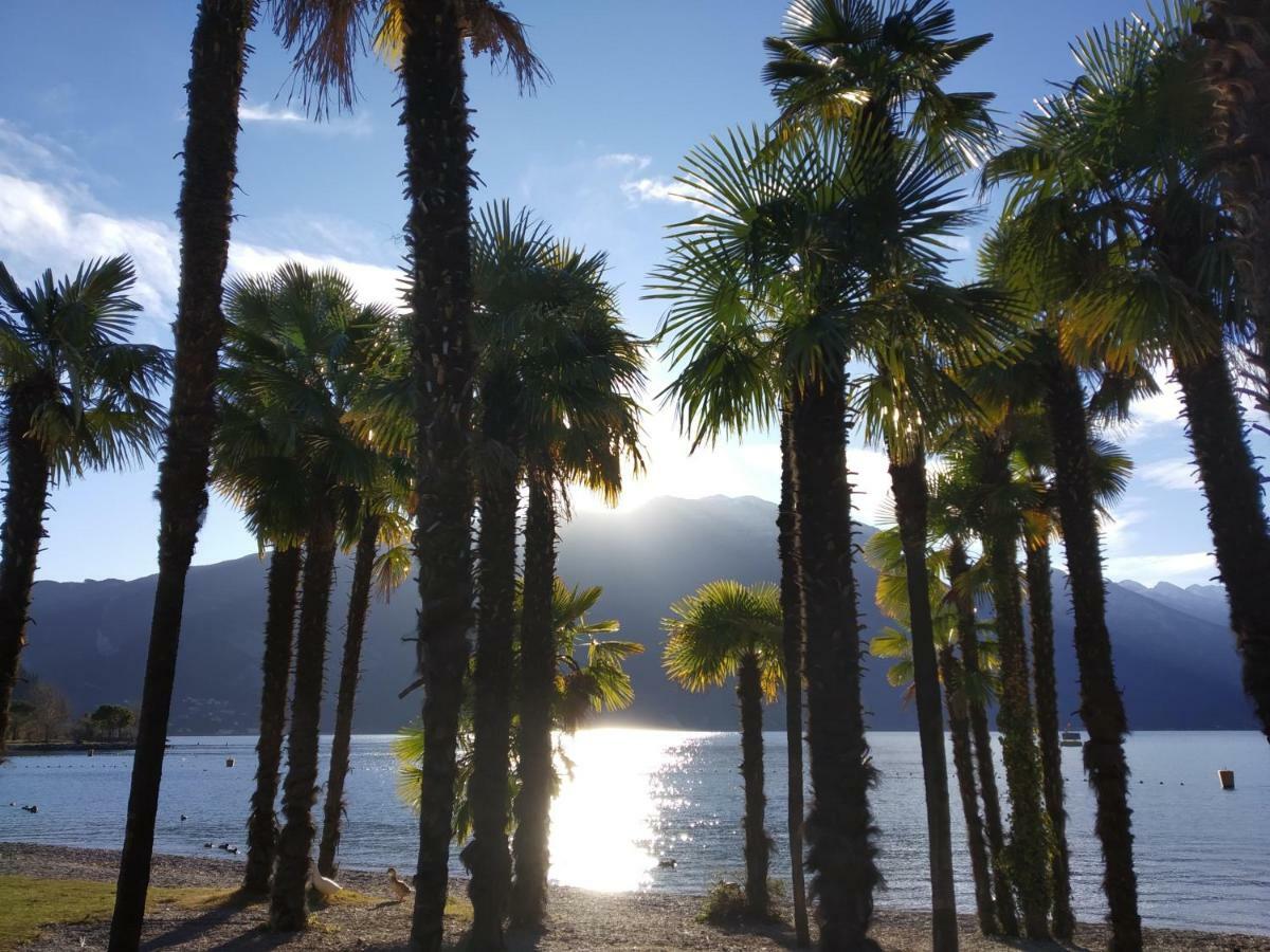 Appartamento Silvy Riva del Garda Bagian luar foto